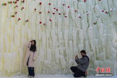 哈尔滨冰雪大世界“玫瑰冰瀑”吸引游客